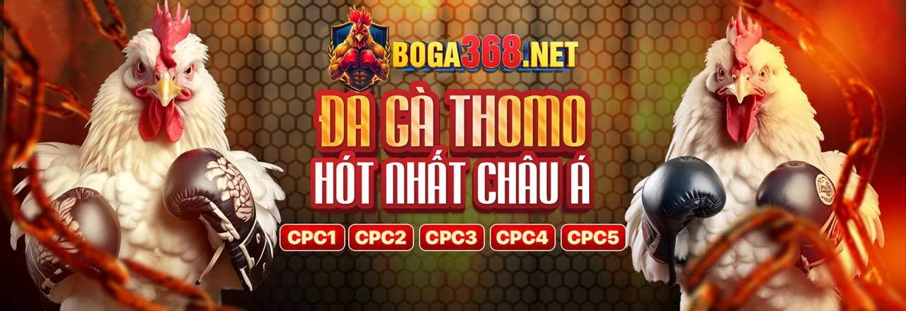 Tin tức và cập nhật mới nhất từ pkbet trang chủ