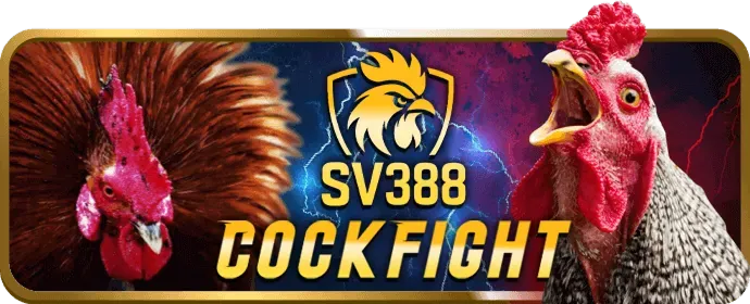 Cá cược thể thao PKBET